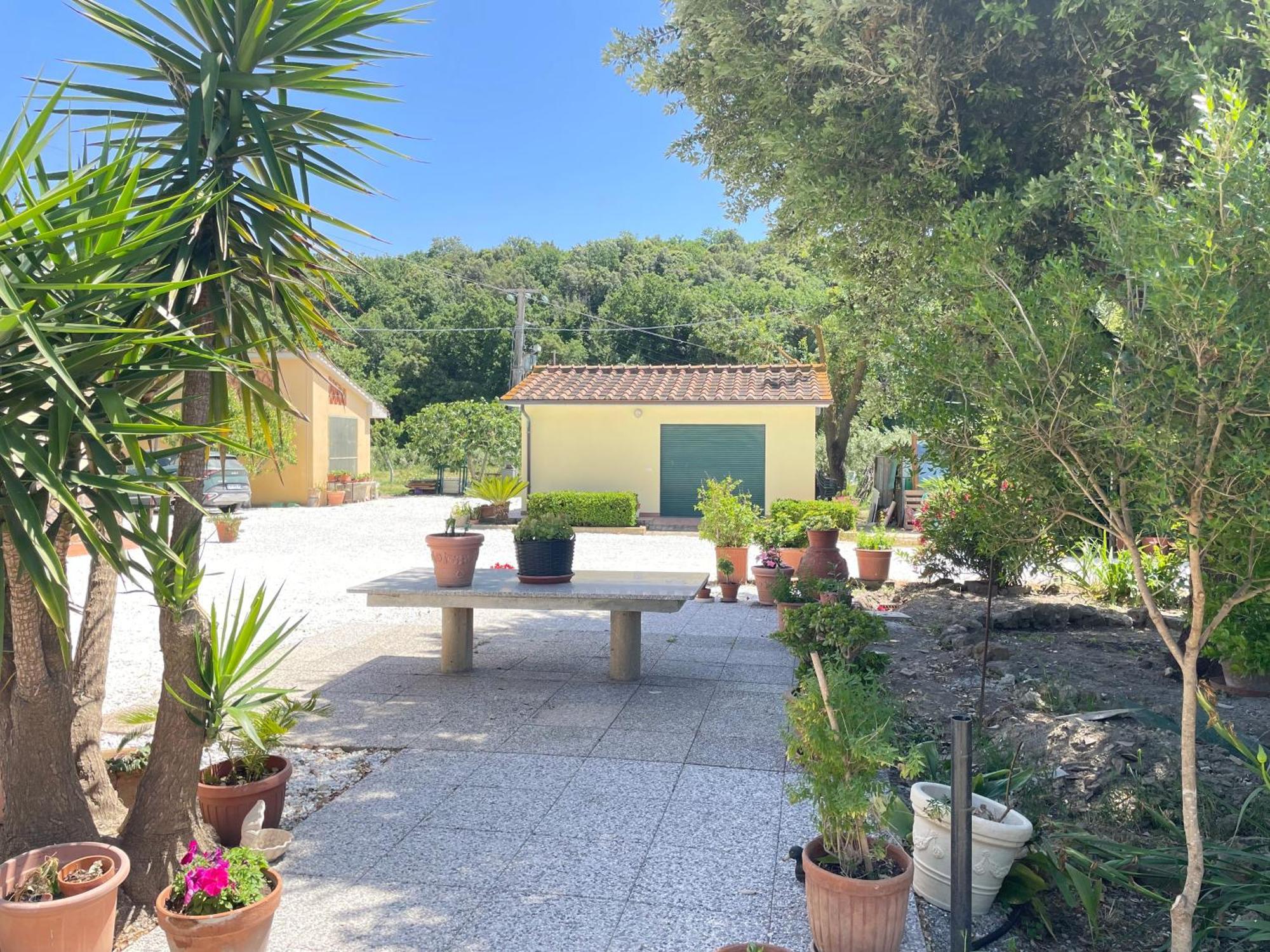 Il Leccio Agriturismo 피오리노 외부 사진